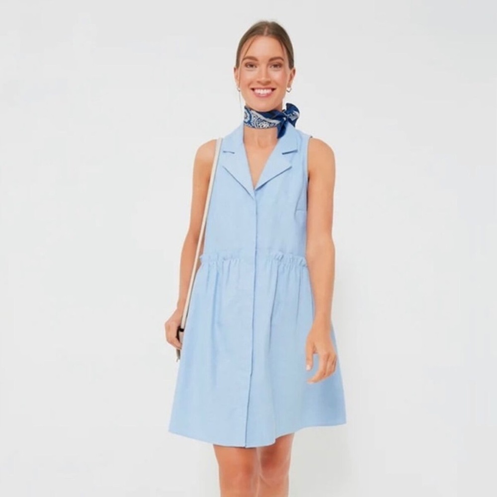 Tuckernuck Oxford Blue Sleeveless Royal Shirt Dress size M